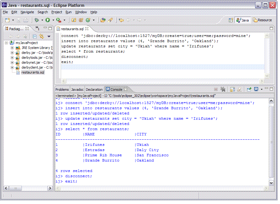 Console view of ij script output